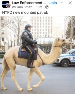 Screenshot 2025-11-06 at 6.47.27 AM.jpeg