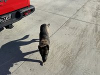 IMG_1879.jpeg IMG_1879.jpeg