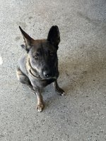 IMG_1888.jpeg IMG_1888.jpeg