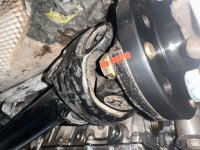 IMG_1896.jpeg IMG_1896.jpeg