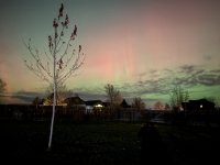 IMG_0636.jpeg IMG_0636.jpeg