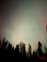 IMG_6205.jpeg IMG_6205.jpeg