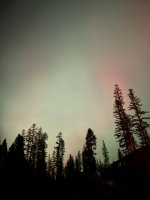 IMG_6207.jpeg IMG_6207.jpeg