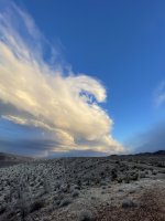 IMG_3288.jpeg IMG_3288.jpeg