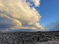 IMG_3287.jpeg IMG_3287.jpeg