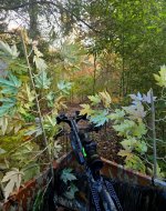 1000045547.jpg 1000045547.jpg