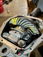 IMG_1341.jpeg IMG_1341.jpeg