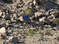 IMG_6936.JPG IMG_6936.JPG