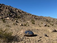 IMG_6938.JPG IMG_6938.JPG