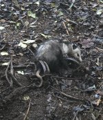 1000046589.jpg 1000046589.jpg