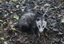 1000046594.jpg 1000046594.jpg