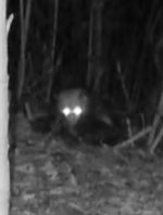 1000046612.jpg 1000046612.jpg