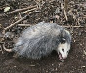 1000046777.jpg 1000046777.jpg