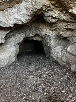 IMG_4137.jpeg IMG_4137.jpeg