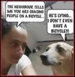 IMG_7077.jpeg IMG_7077.jpeg