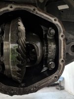 IMG_3108.jpeg IMG_3108.jpeg