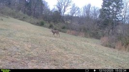 016579005625574-10-3-12102025150234-V-SYFW03690.jpeg 016579005625574-10-3-12102025150234-V-SYFW03690.jpeg