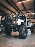 IMG_3236.jpeg IMG_3236.jpeg