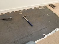 IMG_1002.jpeg IMG_1002.jpeg