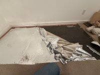 IMG_1001.jpeg IMG_1001.jpeg