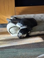 IMG_5264.jpeg IMG_5264.jpeg