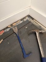 IMG_1017.jpeg IMG_1017.jpeg