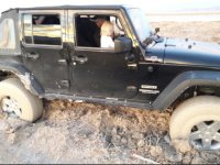 IMG_6481.jpeg IMG_6481.jpeg