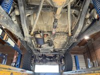 IMG_7308.jpeg IMG_7308.jpeg