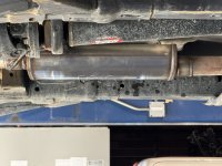 IMG_7310.jpeg IMG_7310.jpeg