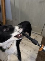 IMG_1617.jpeg IMG_1617.jpeg