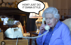 1000055069.png 1000055069.png