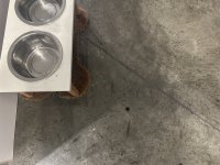 IMG_3378.jpeg IMG_3378.jpeg