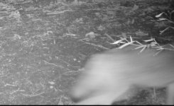 1000055795.jpg 1000055795.jpg