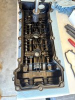 IMG_7579.jpeg IMG_7579.jpeg