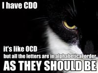 i_have_cdo_ocd_trollcat.jpg