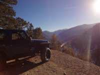 Jeep enjoying the view.jpg