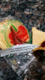 fortune cookie.jpg
