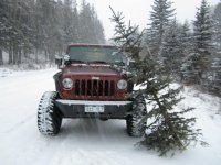 jeepxmastree.jpg