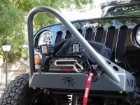 ImageUploadedByWAYALIFE1387150203.198935.jpg