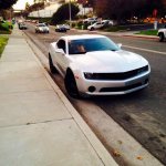 ImageUploadedByWAYALIFE1389059888.509791.jpg
