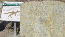 theropod-track-140221.jpg