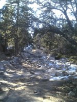 john bull trail gatekeeper 01-08-2014 002.jpg