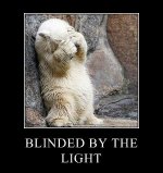 Blinded By The Light meme-.jpg