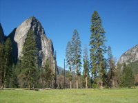 Yosemite 025 (640x480).jpg
