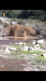 ImageUploadedByWAYALIFE1363014874.410197.jpg