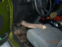 tree through Jeep floorboard bottom.jpg