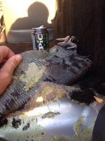 ImageUploadedByWAYALIFE1409792658.434768.jpg ImageUploadedByWAYALIFE1409792658.434768.jpg
