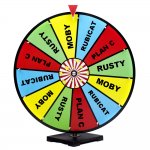 WAYALIFE SPIN THE WHEEL GAME .JPG