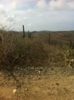 Aruba - National Park.jpg