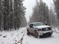 SnowyF150v2.jpg